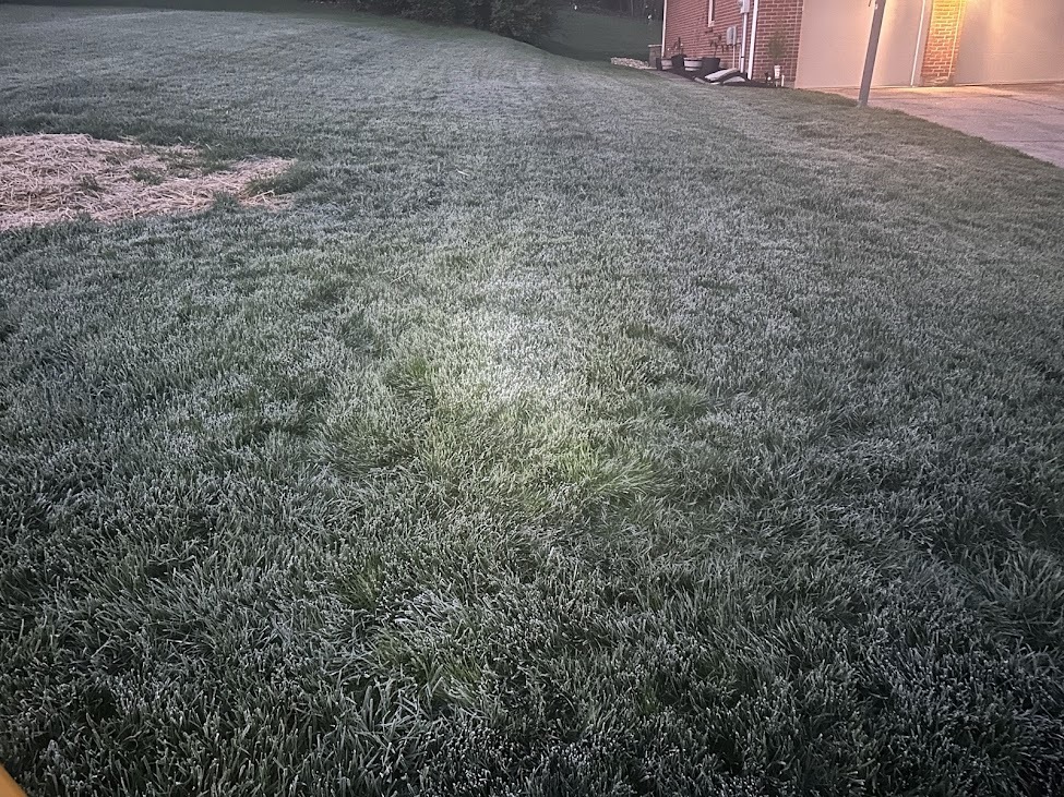 April frost